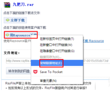 如何使用Raysource下载文件