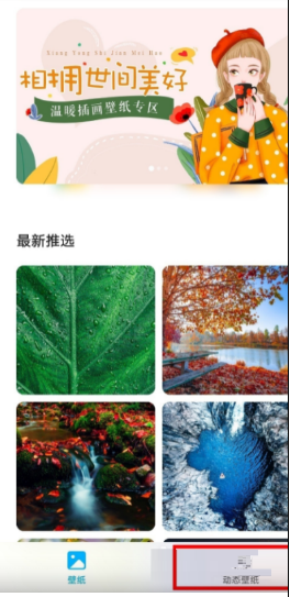 荣耀60pro动态壁纸在什么地方设置。