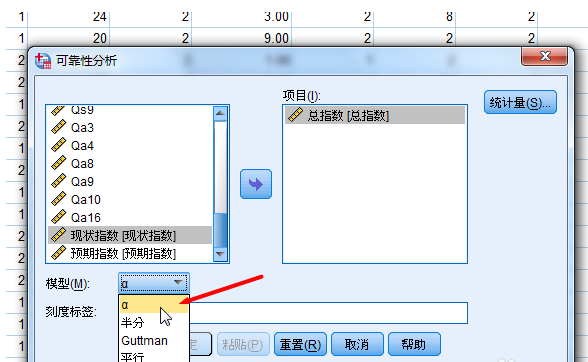 启用SPSS信度分析功能，分析调查数据可信度