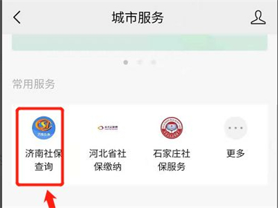 社保怎么在微信查询明细。