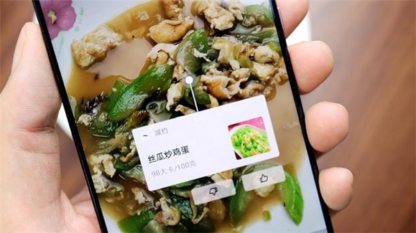 手机扫一扫即可检测食物热量，助你成功减肥！