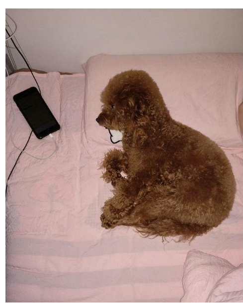 手机闪光灯有什么用。