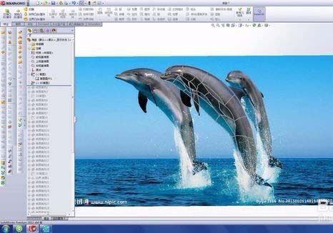 solidworks做出海豚的操作流程。