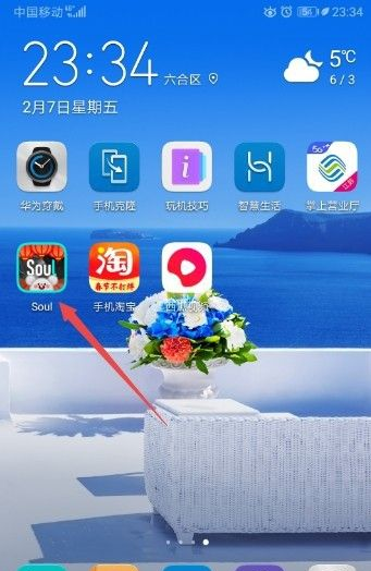 soul性别怎么改第二次。
