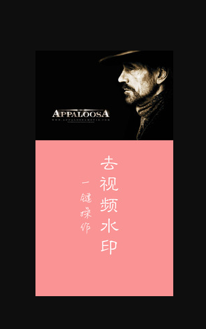 视频去水印app推荐，广告logo统统清除