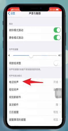 说说6苹果xr设置铃声的操作流程。