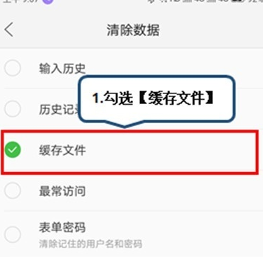 说说6vivoy93s将浏览器缓存清除的具体操作。
