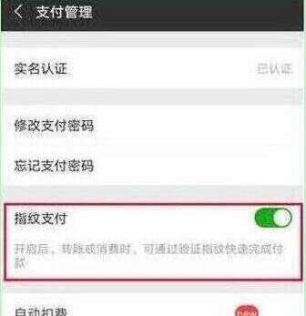 说说6荣耀20s中设置微信指纹支付的简单操作教程。