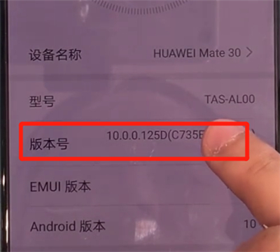 说说6华为mate30中开启开发人员选项的操作教程。