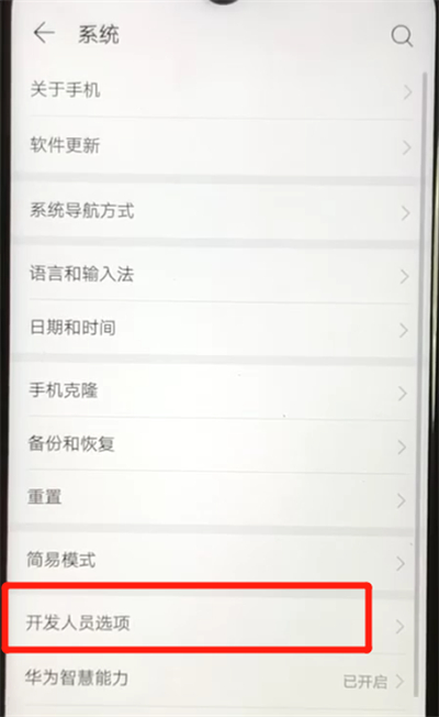 说说6华为nova4e中打开usb调试功能的操作教程。