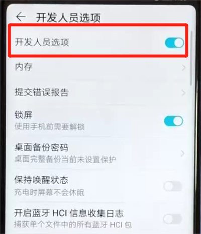 说说6荣耀v20打开开发者选项的操作步骤。