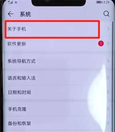 说说6华为mate20pro中打开开发者选项的操作教程。
