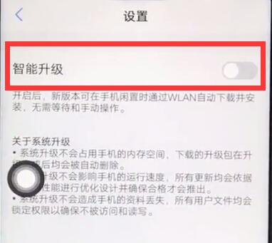 说说6vivoz1中关闭系统自动升级的基本步骤。