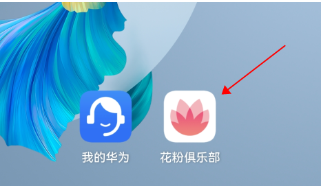 说说6花粉俱乐部怎样申请鸿蒙内测。
