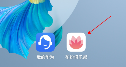 说说6HarmonyOS2.0适应内测设备如何报名。