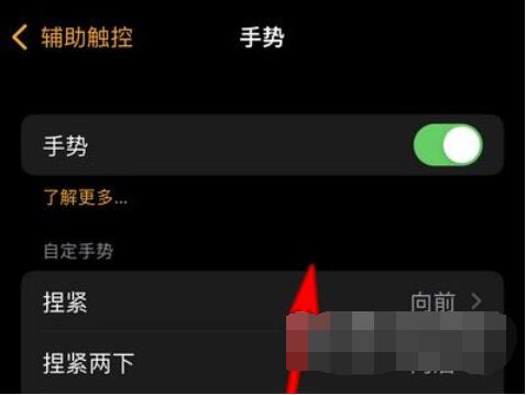 说说6AppleWatchSeries7在哪里设置手势操作。