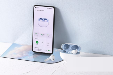 说说6OPPOEncoFree2i怎么用。