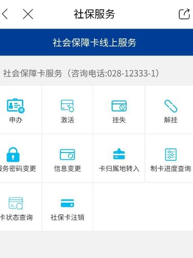 说说6天府市民云查询社保信息的操作过程。
