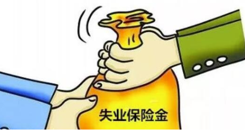 说说6失业金领取标准是什么。