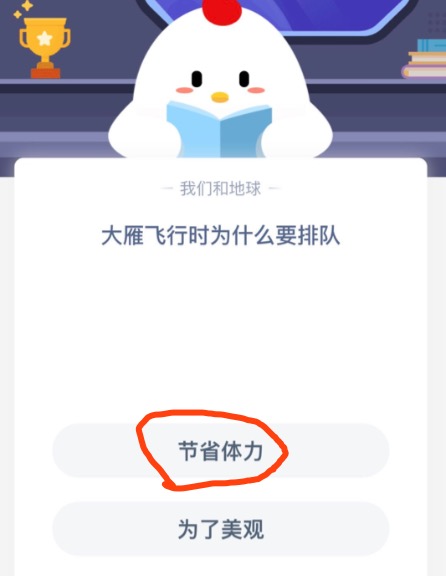 说说6大雁飞行时为什么要排队。