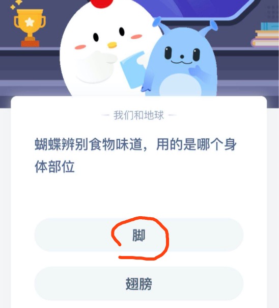 说说6蝴蝶辨别食物味道用的是哪个身体部位。