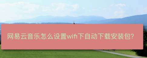 说说6网易云音乐如何设置WiFi网络自动下载安装包。