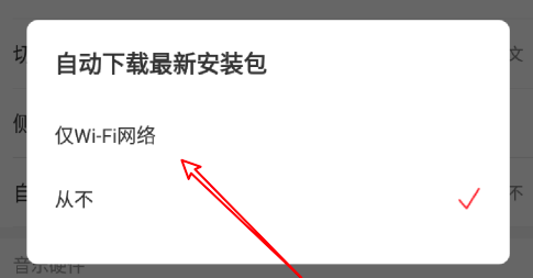 说说6网易云音乐如何设置WiFi网络自动下载安装包。