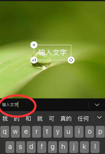 说说6醒图如何给图片添加文字。