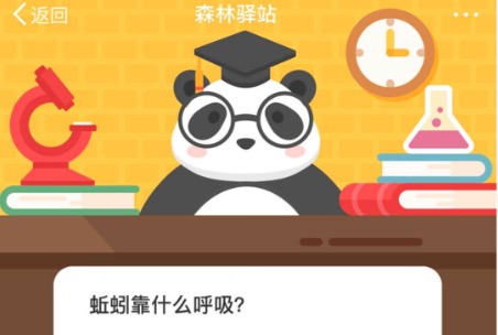 说说6蚯蚓靠什么呼吸。