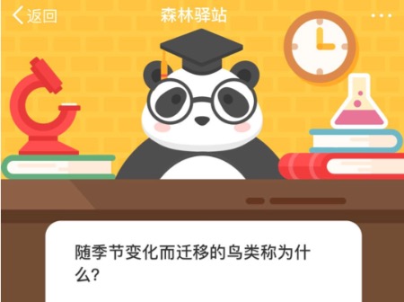 说说6随季节变化而迁移的鸟类称为什么。