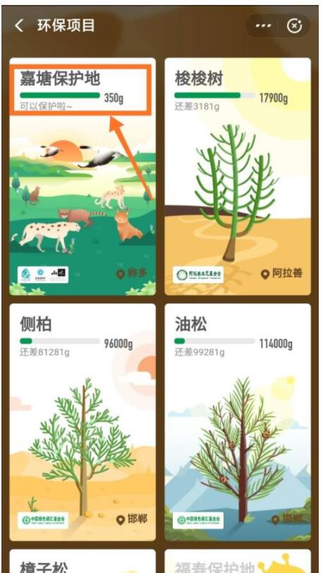 说说6蚂蚁森林巡护嘉塘保护地怎么申请。
