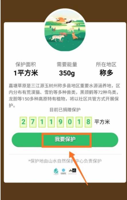 说说6蚂蚁森林巡护嘉塘保护地怎么申请。