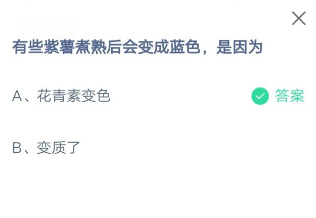 说说6有些紫薯煮熟后会变成蓝色，是因为。