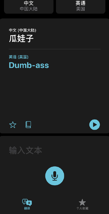 说说6iOS14的翻译用不了是怎么回事。