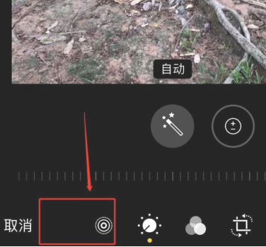 说说6iphone实况照片怎么不会动。