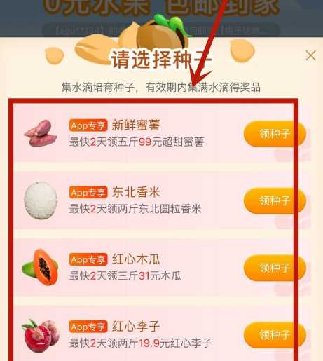 说说6京喜农场怎么玩。