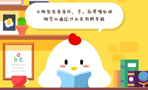 说说6小鸡宝宝考考你,牛马等哺乳动物可以通过什么来判断年龄。