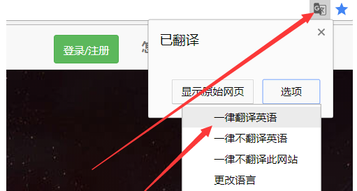 说说6谷歌翻译的具体使用方法