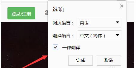 说说6谷歌翻译的具体使用方法