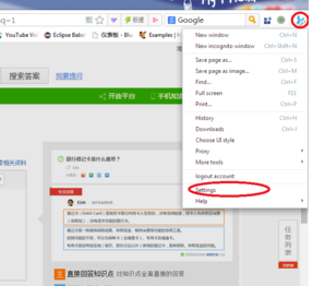 说说6360极速浏览器将英文模式调整为中文的操作教程