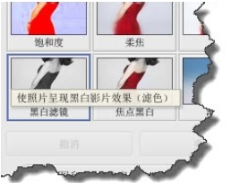 Google Picasa将彩色照片改成黑白的方法步骤截图