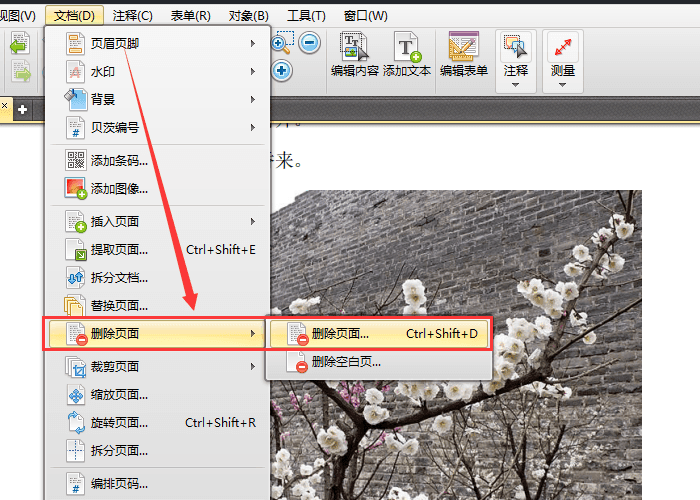 说说6迅捷pdf编辑器删除与替换页面的具体步骤