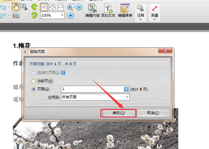 说说6迅捷pdf编辑器删除与替换页面的具体步骤