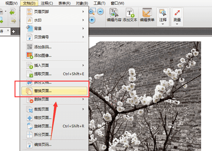 说说6迅捷pdf编辑器删除与替换页面的具体步骤