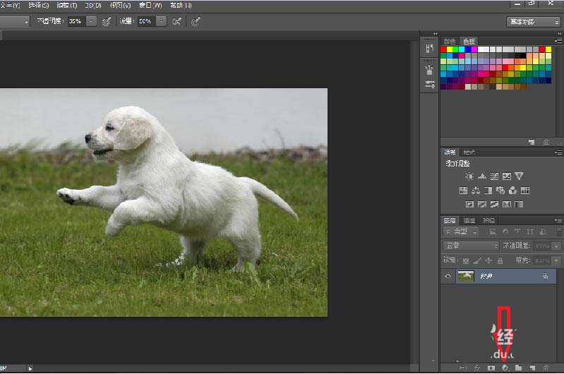 说说6photoshop cs6给图片添加彩色渐变效果的操作方法 说说6做大人