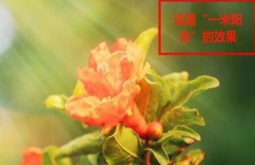 说说62345看图王制作特效图片的操作教程 说说6这样做 你就跟我这样做