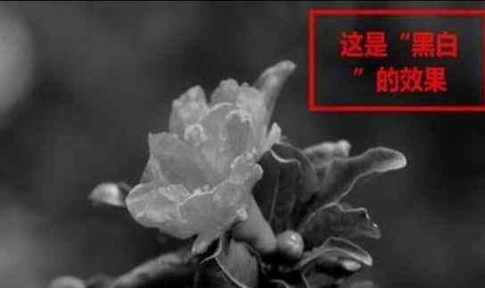 说说62345看图王制作特效图片的操作教程 说说6这样做 你就跟我这样做