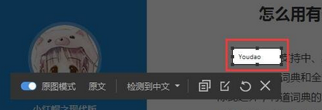 说说6有道词典中使用截屏翻译的操作教程