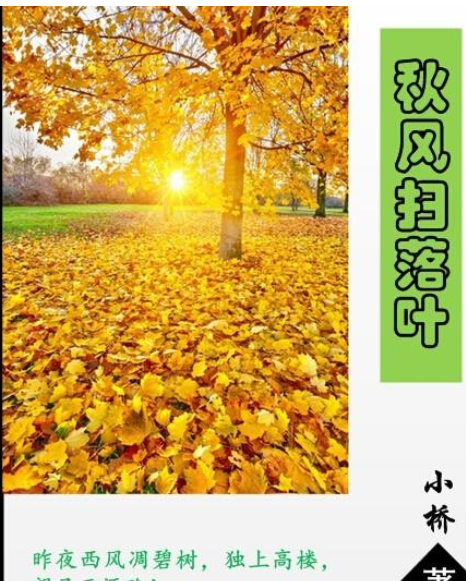 说说6Microsoft Office Visio为小说配一个封面的详细使用教程 说说6跳舞