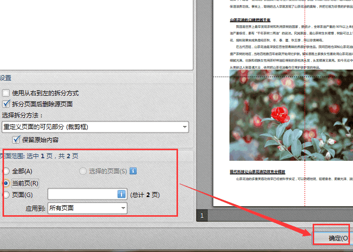 说说6迅捷pdf编辑器拆分PDF页面的操作教程